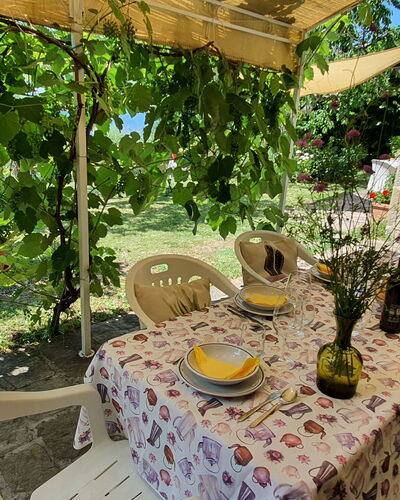 La Casa Del Sole: Planta, Propiedad, Mesa, Botánica, Naturaleza, Flor, Paisaje, Silla, Mueble Para Exteriores, Planta Terrestre