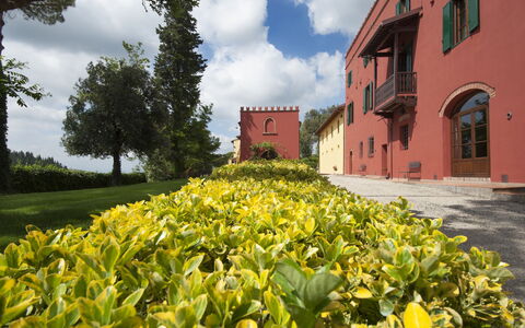 Tenuta Cambiano: Flor, Amarillo, Paisaje Natural, Propiedad, Planta, Jardín, Botánica, Plantación, Primavera, Bienes Raíces