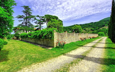 Villa Capolona
