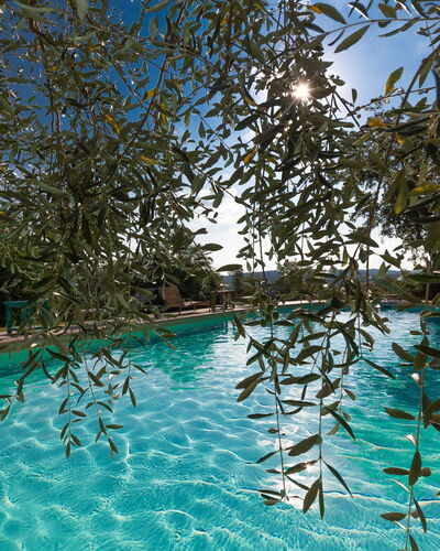Villa Poggiospinoso: Piscina, Ocio, Recurso, Agua, Centro De Ocio, Vacaciones, Árbol, Hotel, Recreación, Planta