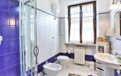 Uva: Lavabo, Arreglo De Tubería, Propiedad, Grifo, Ventana, Púrpura, Azul, Azur, Lavabo Del Baño, Baño