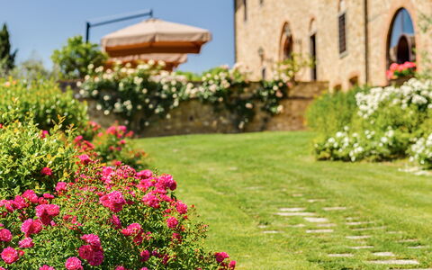 Villa Sole Del Chianti: Flor, Planta, Edificio, Naturaleza, Botánica, Pétalo, Ventana, Cielo, Árbol, Hierba