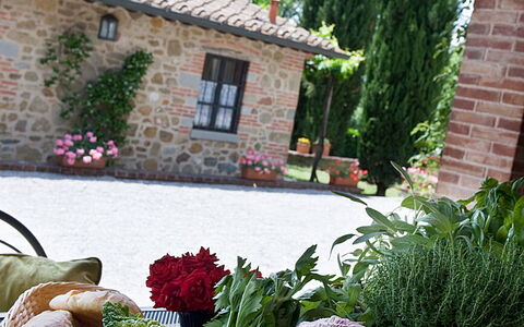 Agriturismo L'incrociata: Planta, Cielo, Tiempo De Día, Propiedad, Flor, Ventana, Comida, Vajilla, Nube, Mesa