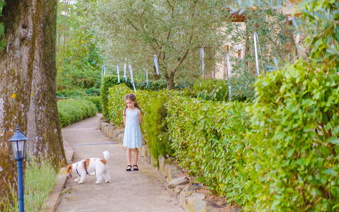 Borgo San Vincenti: Verde, Hoja, Arbusto, Primavera, Jardín, Ocio, Recreación, Vacaciones, Luz De Sol
