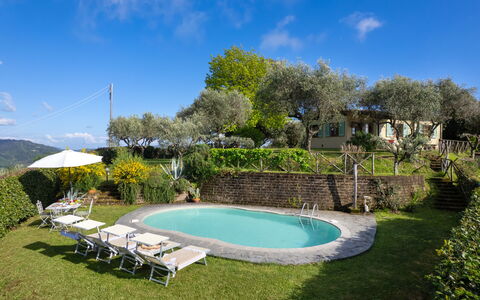 Villa Elisa: Piscina, Mueble Para Exteriores, Recurso, Inmuebles, Jardín, Hacienda, Eco Hotel, Cabaña, Patio Interior, Yarda