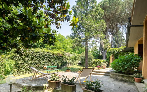 Villa Del Mugello: Planta, Propiedad, Edificio, Maceta, Sombra, Árbol, Vegetación, Cielo, Hierba, Planta De Casa