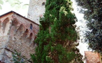 Tower: Edificio, Propiedad, Ventana, Planta, Cielo, Árbol, Fachada, Punto De Referencia, Casa, Hierba