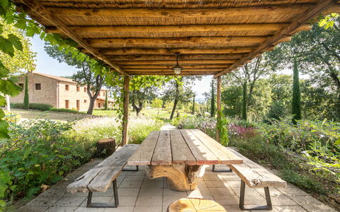 Fonte Della Chiana: Planta, Naturaleza, Sombra, Madera, Ventana, Botánica, Árbol, Hierba, Vegetación, Biome