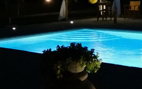 Il Pozzo Di San Barnaba: Agua, Planta, Maceta, Ligero, Planta De Casa, Cielo, Diseño De Interiores, Rectángulo, Piscina, Hierba