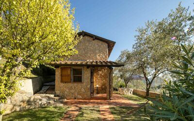 Casa Del Colle: Planta, Cielo, Planta De La Comunidad, Edificio, Ventana, Paisaje Natural, Madera, Árbol, El Terreno Del Lote, Hierba