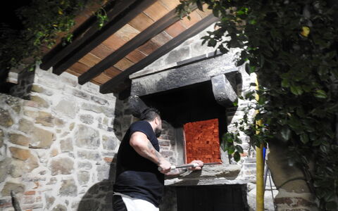 San Lorenzo: Planta, Madera, Tintes Y Sombras, Ocio, Techo, Árbol, Cabaña, Klippe