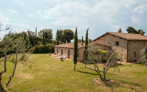 Lavacchio 10: Planta, Cielo, Nube, Ecorregión, Ventana, Árbol, El Terreno Del Lote, Edificio, Paisaje Natural, Hierba