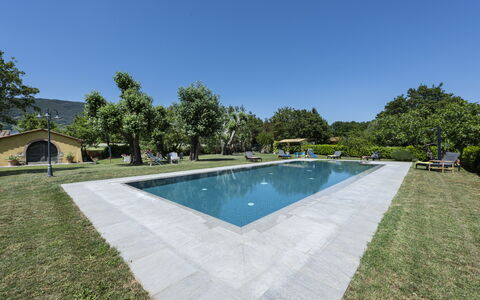 Villa Chio: Agua, Cielo, Piscina, Planta, Árbol, Sombra, Cuerpo De Agua, Rectángulo, Edificio, Barrio Residencial