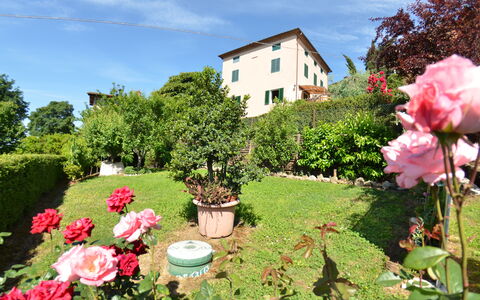 Alla Collina Del Sole: Flor, Planta, Nube, Cielo, Ventana, Verde, Botánica, Naturaleza, Edificio, Paisaje Natural