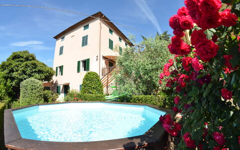 Alla Collina Del Sole: Flor, Agua, Cielo, Planta, Propiedad, Tiempo De Día, Nube, Verde, Edificio, Azul