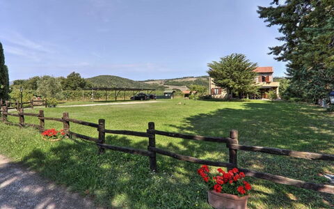 Villa Le Selvole: Cielo, Planta, Nube, Árbol, Paisaje Natural, Cerca, El Terreno Del Lote, Hierba, Arbusto