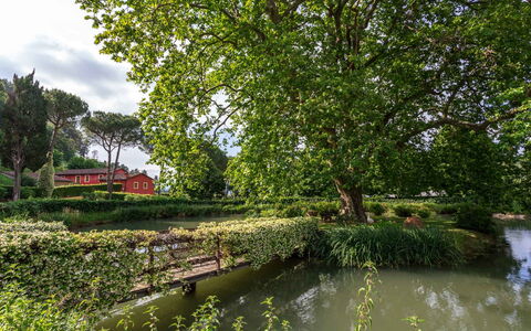 Villa Guasperini: Agua, Planta, Verde, Paisaje Natural, Árbol, Nube, Corriente De Agua, Cuerpo De Agua, Lago, Banco