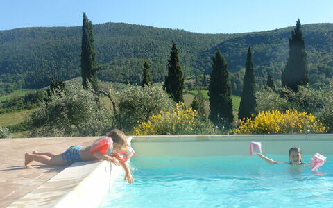 Tenuta Le Sodole: Agua, Propiedad, Cielo, Piscina, Árbol, Azur, Cuerpo De Agua, Planta, Mueble Para Exteriores