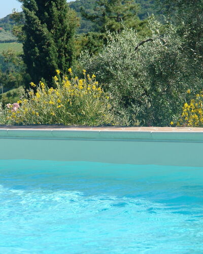 Tenuta Le Sodole: Agua, Cielo, Planta, Propiedad, Piscina, Planta De La Comunidad, Árbol, Naturaleza, Azur, Paisaje Natural