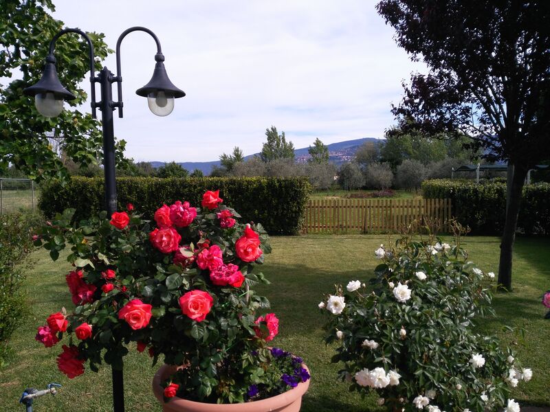 Il Casale Di Quirina