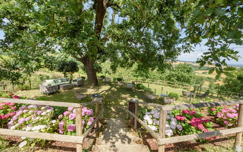 Villa Varna: Flor, Planta, Planta De La Comunidad, Árbol, Pétalo, Paisaje Natural, Maceta, Hierba, Cobertura Del Suelo, Arbusto