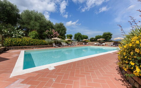 Villa Varna: Agua, Planta, Nube, Cielo, Propiedad, Piscina, Cuerpo De Agua, Árbol, Flor, Sombra