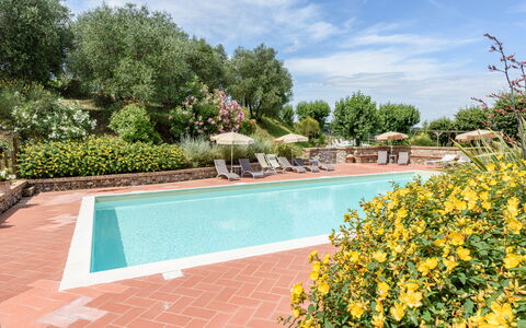 Villa Varna: Agua, Nube, Cielo, Planta, Piscina, Flor, Árbol, Cuerpo De Agua, Hierba, Ocio