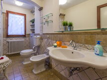 Alojamiento:&nbsp;Oasi 1