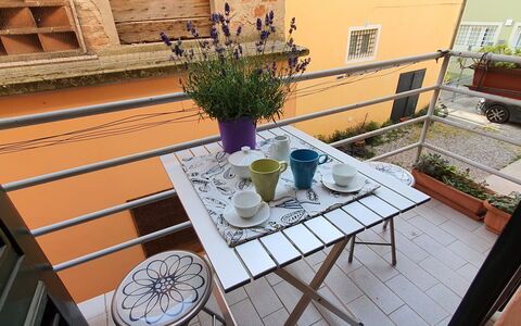 Lucida: Planta, Vajilla, Propiedad, Ventana, Mesa, Maceta, Madera, Planta De Casa, Diseño De Interiores, Púrpura