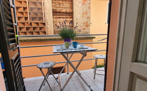 Lucida: Planta, Maceta, Planta De Casa, Ventana, Madera, Mesa, Diseño De Interiores, Piso, Suelo, Edificio