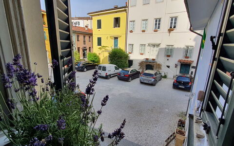 Lucida: Planta, Edificio, Ventana, Coche, Rueda, Flor, Vehículo, Superficie De La Carretera, Diseño Urbano