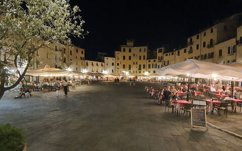 Loft Lucca: Edificio, Tienda, Planta, Ocio, Árbol, Ciudad, Área Urbana, Uso Mixto, Superficie De La Carretera, Asentamientos Humanos
