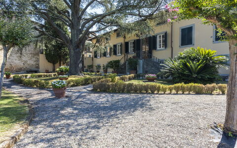 Villa San Gennaro: Planta, Edificio, Propiedad, Ventana, Botánica, Árbol, Superficie De La Carretera, Cielo, Vegetación, El Terreno Del Lote