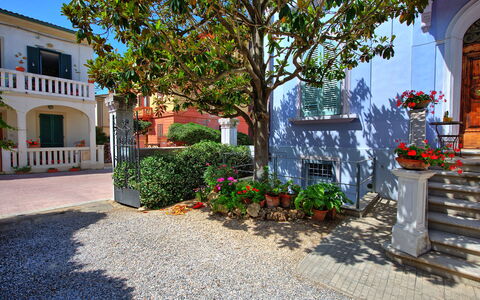 Casa Riva: Planta, Flor, Edificio, Ventana, Propiedad, Maceta, Azul, Superficie De La Carretera, Árbol, Planta De Casa