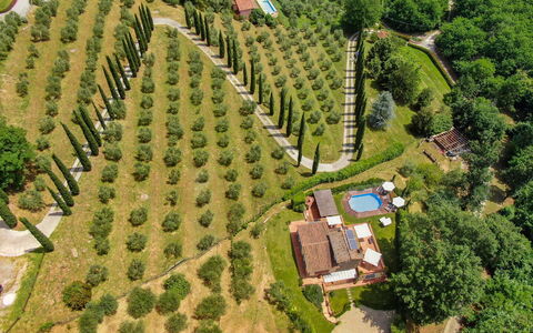 La Quiete: Planta, Propiedad, Paisaje Natural, El Terreno Del Lote, Árbol, Diseño Urbano, Edificio, Hierba, Área Rural, Ocio