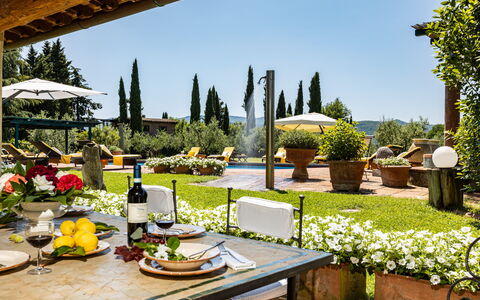Podere La Torre: Planta, Mesa, Flor, Propiedad, Mueble, Cielo, Naturaleza, Botánica, Vajilla, Mueble Para Exteriores
