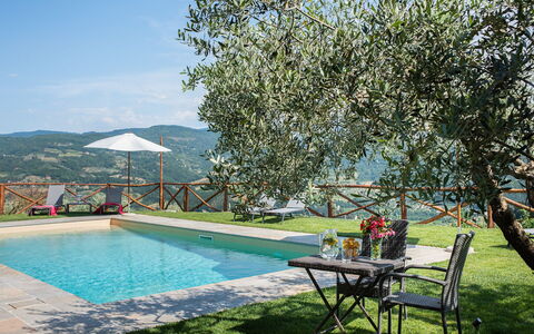 Casa San Piero: Agua, Planta, Propiedad, Mueble, Cielo, Piscina, Sombra, Mueble Para Exteriores, Silla, Árbol