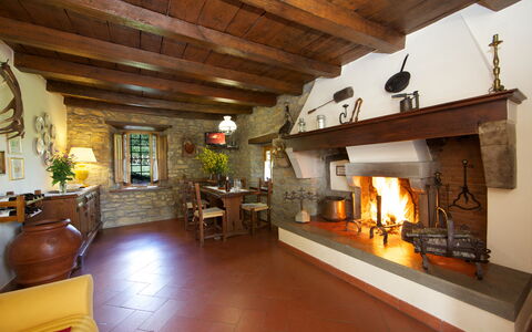 Villa Renaccio: Edificio, Madera, Planta, Diseño De Interiores, Sala, Sofá, Planta De Casa, Suelo, Haz, Maceta