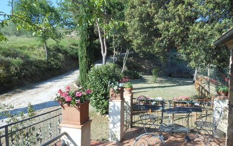 Casa Mulinello: Planta, Flor, Árbol, Maceta, Mueble Para Exteriores, Sombra, Planta De Casa, Hierba, Mesa Al Aire Libre, Ocio