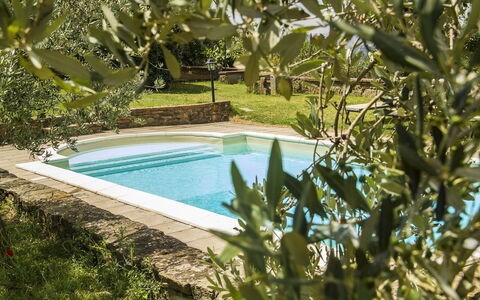 Orangerie Degli Ulivi: Agua, Los Recursos Hídricos, Planta, Naturaleza, Azur, Piscina, Botánica, Paisaje Natural, Vegetación, Hierba