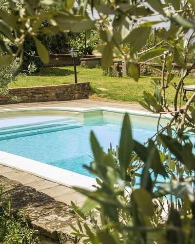 Orangerie Degli Ulivi: Agua, Los Recursos Hídricos, Planta, Naturaleza, Azur, Piscina, Botánica, Paisaje Natural, Vegetación, Hierba