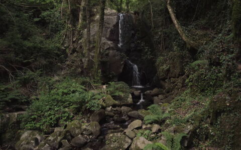 Villa In Garfagnana: Planta, Agua, Planta De La Comunidad, Paisaje Natural, Cascada, Corriente De Agua, Primavera, Planta Terrestre, Base