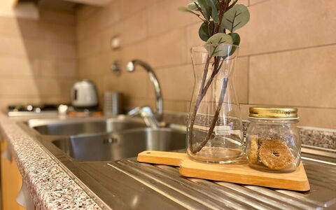 Vintage Apartment in Florence: Fregadero, Lavabo, Planta, Mostrador, Grifo, Madera, Diseño De Interiores, Arreglo De Tubería, Cocina, Ramita