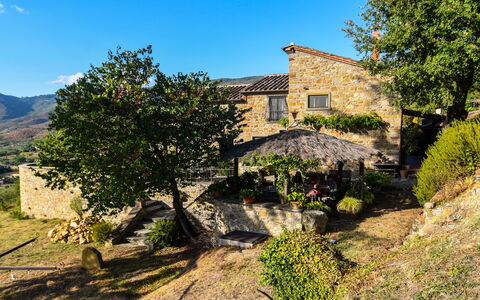 Casale Montanare: Planta, Propiedad, Cielo, Planta De La Comunidad, Ventana, Edificio, Paisaje Natural, El Terreno Del Lote, Árbol, Casa