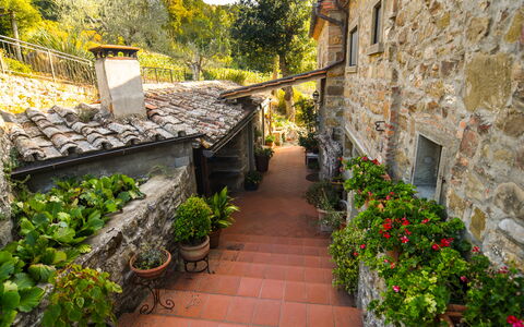 Casale Montanare: Planta, Edificio, Hoja, Maceta, Árbol, Ventana, Vegetación, Amarillo, Superficie De La Carretera, Pared