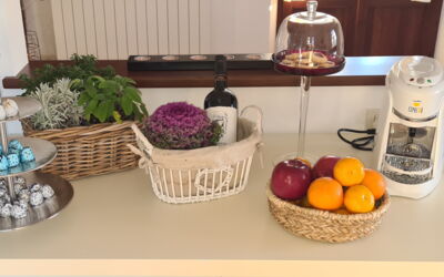 Alojamiento:&nbsp;Paradiso Deluxe