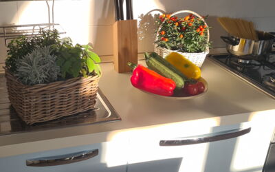 Alojamiento:&nbsp;Paradiso Deluxe