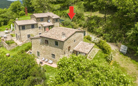 Casa Bosco D'arte Holiday Home , Greve In Chianti,: Edificio, Planta, Verde, Árbol, Paisaje Natural, El Terreno Del Lote, Casa, Ventana, Hierba, Cobertura Del Suelo