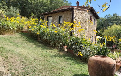 Casa Bosco D'arte Holiday Home , Greve In Chianti,