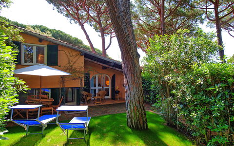 Le Dune: Planta, Cielo, Edificio, Naturaleza, Árbol, Paisaje Natural, Mueble Para Exteriores, Hierba, Sombra, Mesa